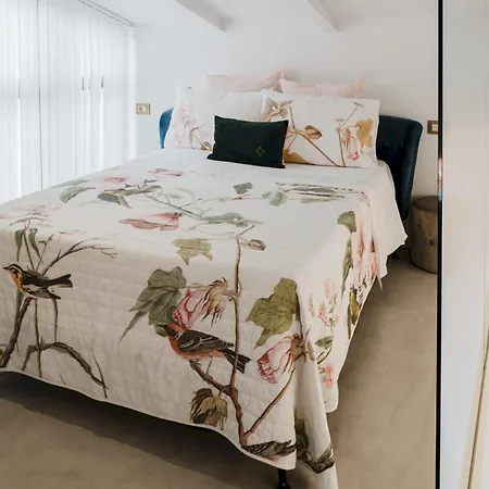Apartamento Casa Timoteo Boutique Adults Only Alcoy